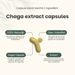 20% korting | Cupplement Chaga Extract Capsules 400mg