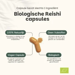 20% korting | Cupplement Reishi Capsules 500 mg Biologisch