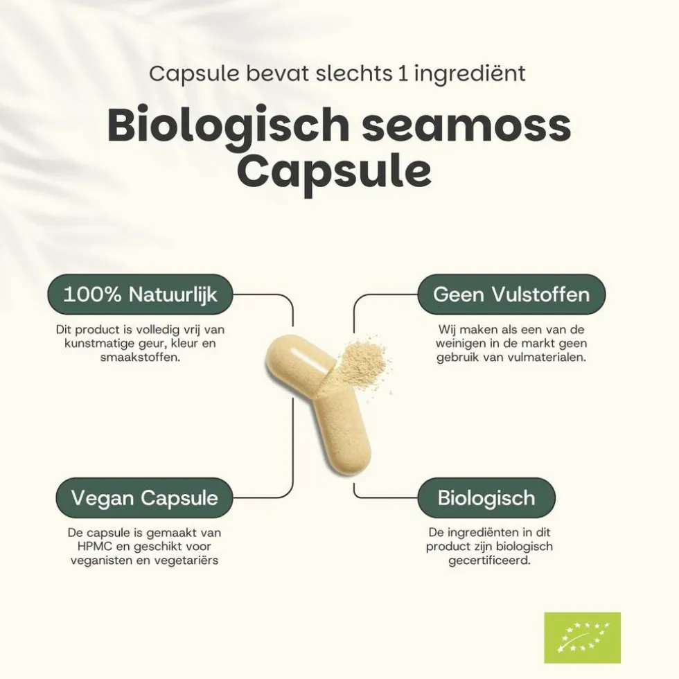 20% korting | Cupplement Sea Moss Capsules 500 mg Biologisch