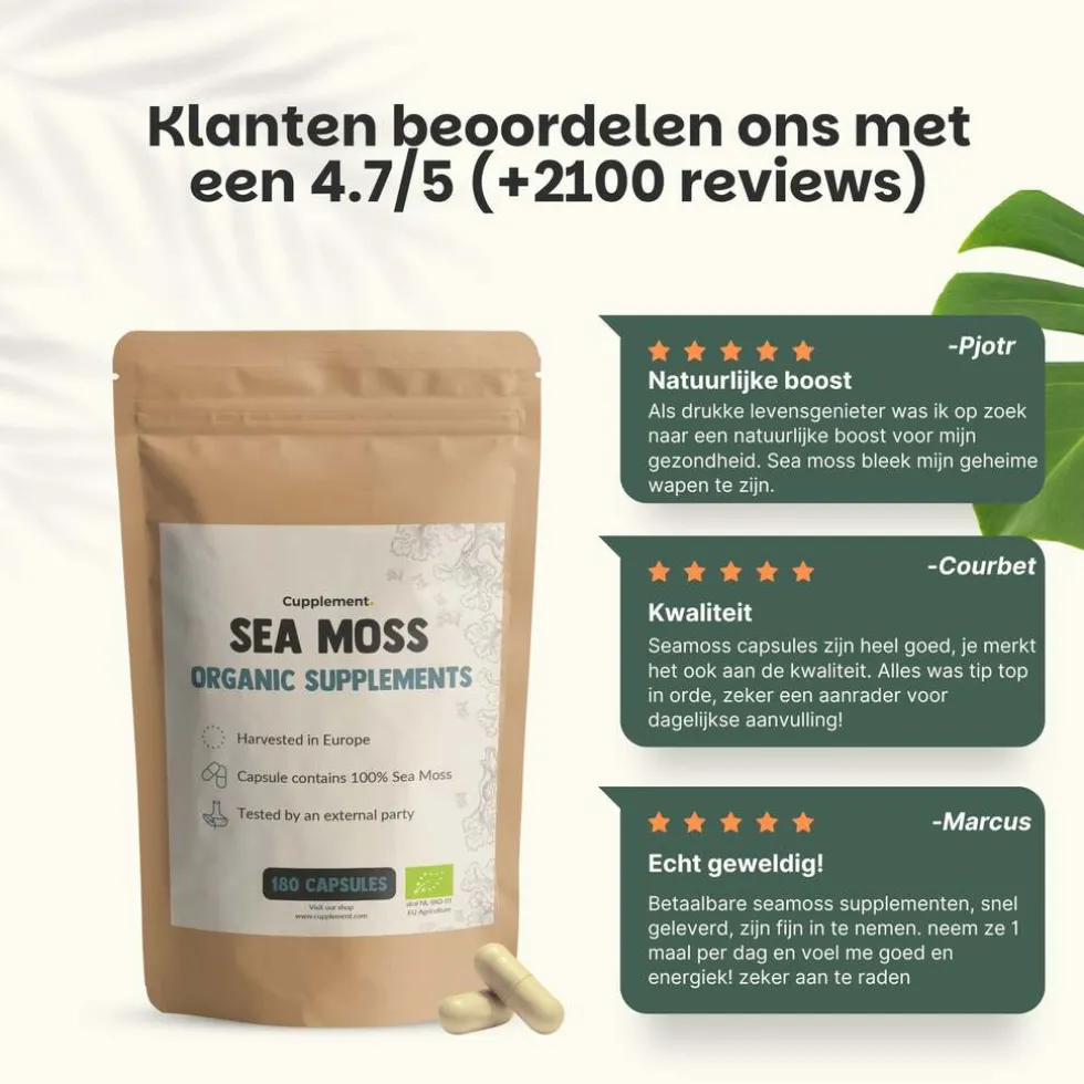 20% korting | Cupplement Sea Moss Capsules 500 mg Biologisch