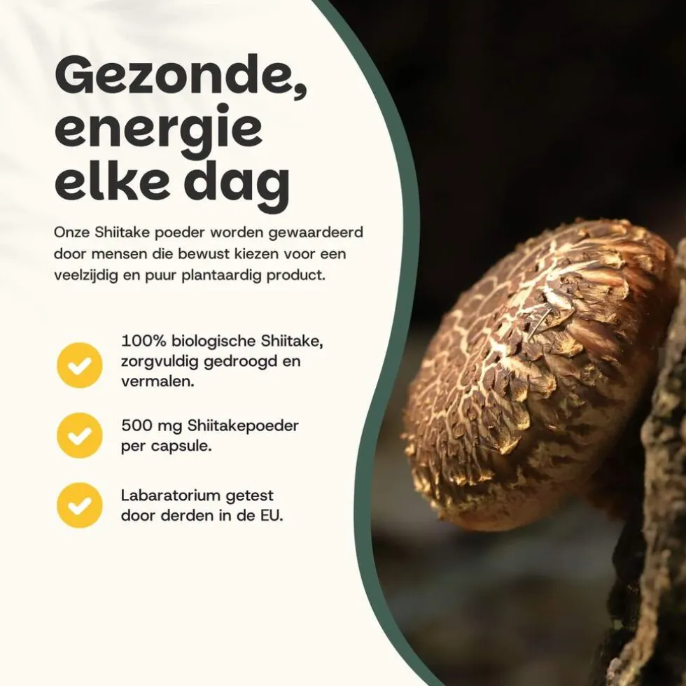 20% korting | Cupplement Shiitake Poeder Biologisch