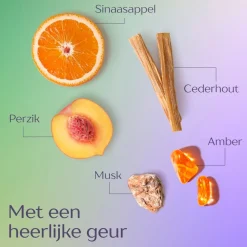 Andrélon Iedere Dag Shampoo