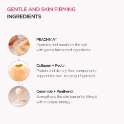 Anua Peach 77 Niacin Enriched Cream