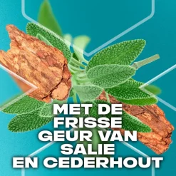 Axe Apollo 3-In-1 Douchegel