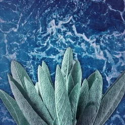 Axe Marine Deodorant & Bodyspray