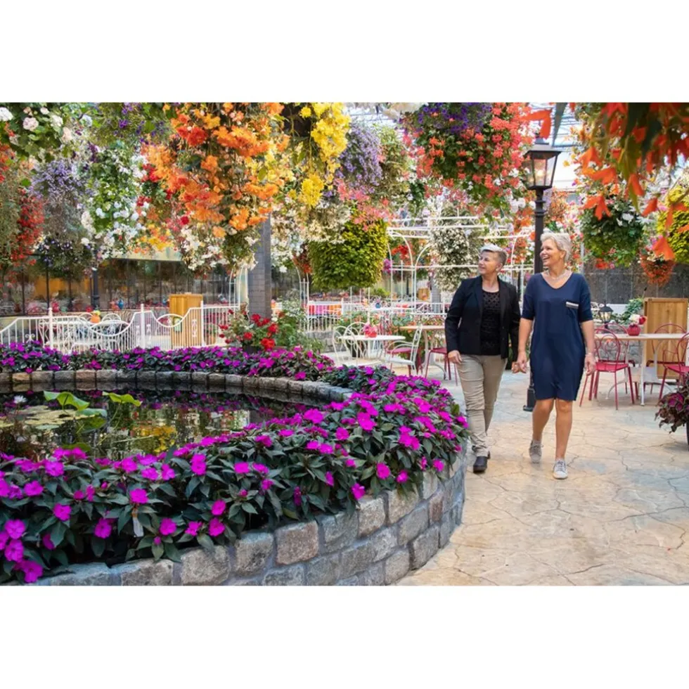 Cadeaubon: Tropisch paradijs: Pantropica!