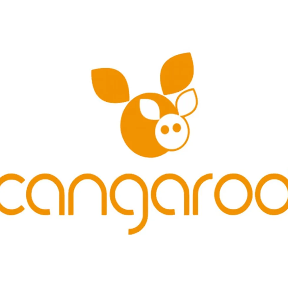 Cangaroo Shaggy Beige 75 x 105 cm Wiegdeken