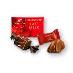 Côte d'Or The Best Of – Luxe Magneetdoos met Chokotoff, Mini Bouchée & Mignonnette Melk