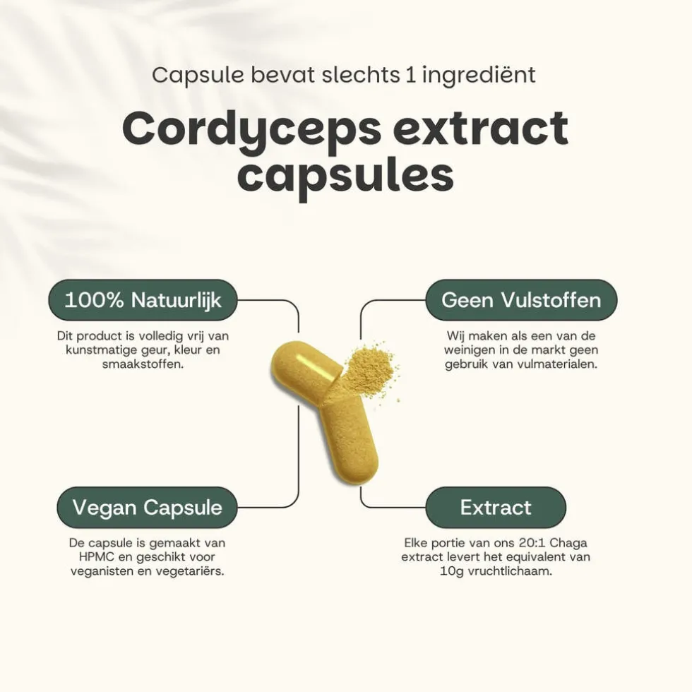 Cupplement Cordyceps Extract Capsules 400 mg