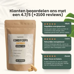 Cupplement Cordyceps Extract Capsules 400 mg