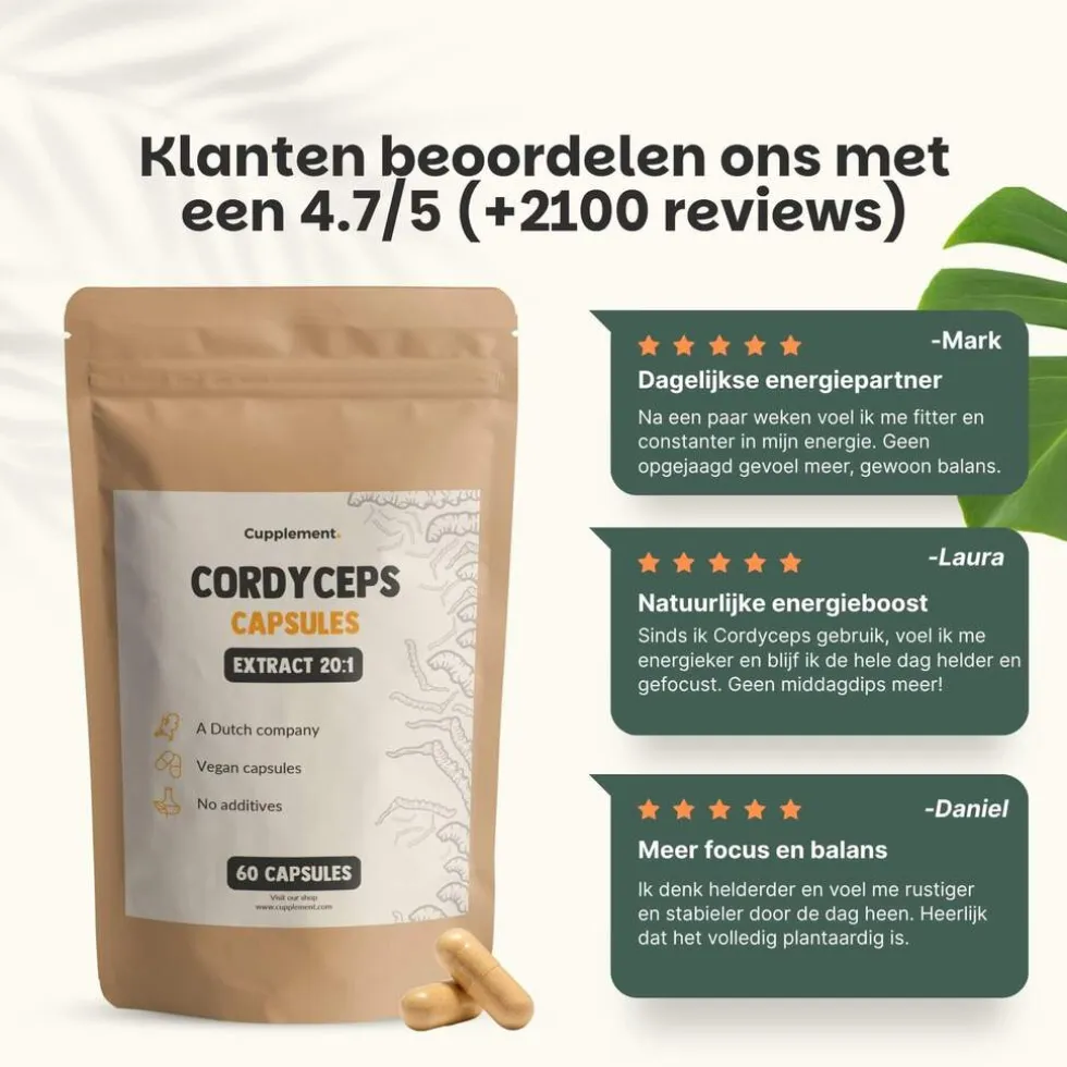 Cupplement Cordyceps Extract Capsules 400 mg