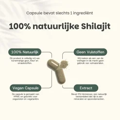 Cupplement Shilajit Extract (5%) Capsules 500 mg
