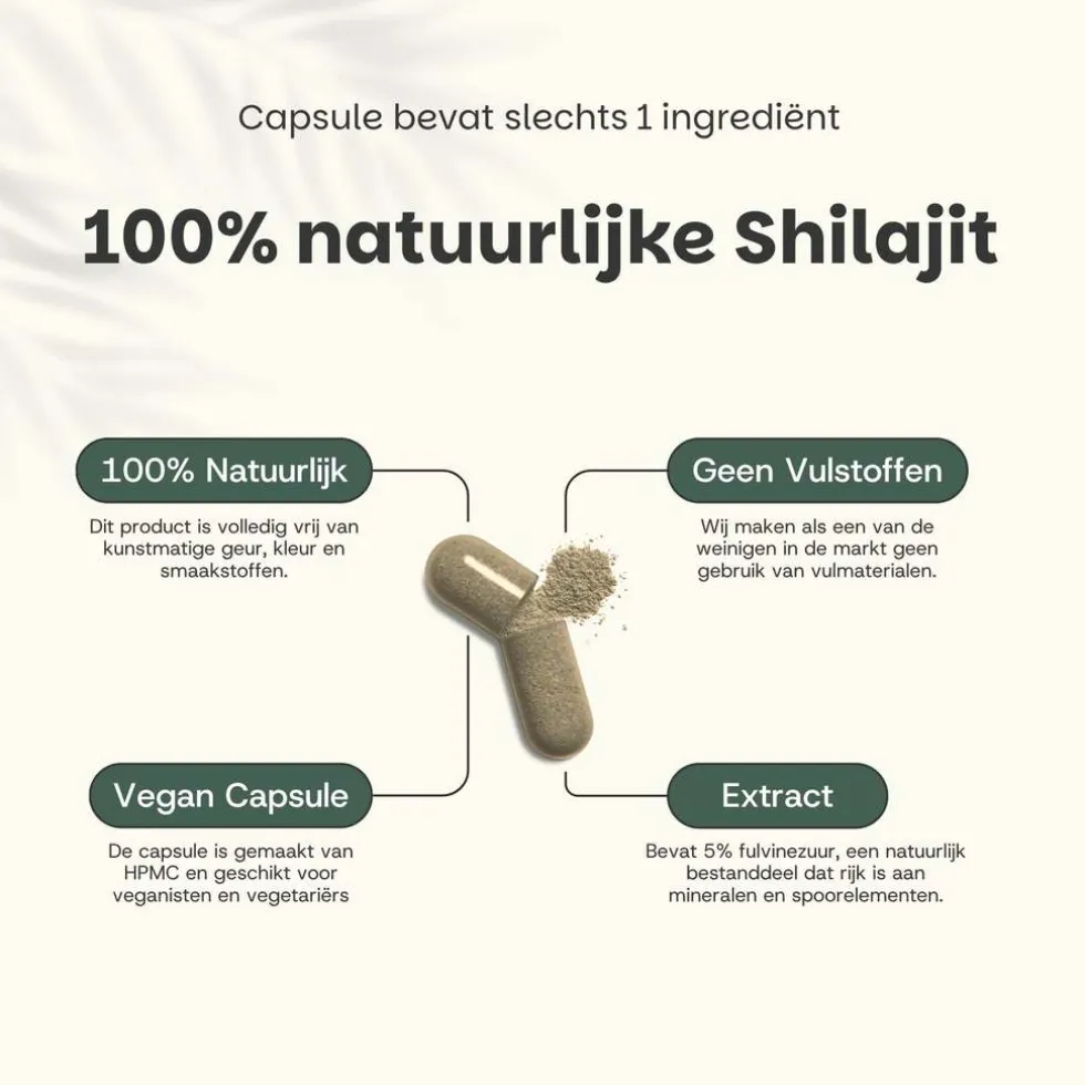 Cupplement Shilajit Extract (5%) Capsules 500 mg