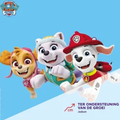 Dagravit Kids Multivitaminen Paw Patrol Gummies