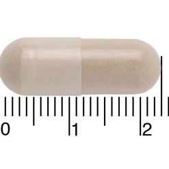 Davitamon Nachtrust 3-in-1 Capsules