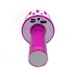 Denver KMS20P Kinder karaoke microfoon