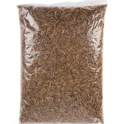 Famiflora meelwormen vogelvoer