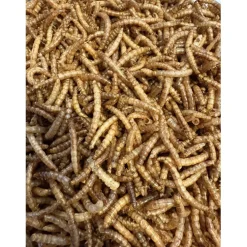 Famiflora meelwormen vogelvoer