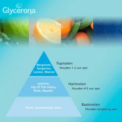 Glycerona Hygiënische Handgel