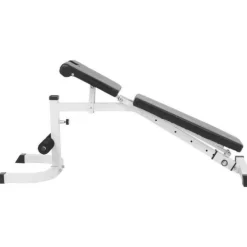 Gorilla Sports fitnessbank met Curlrack