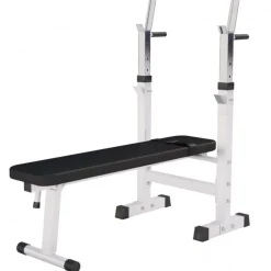 Gorilla Sports Verstelbare Halterbank