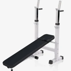 Gorilla Sports Verstelbare Halterbank