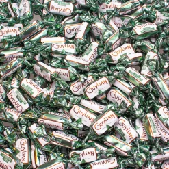 Guylian Temptations Original Seahorses