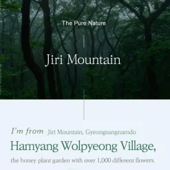 I'm from Honey Serum