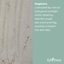 ISNTREE Mugwort Calming Clay Mask