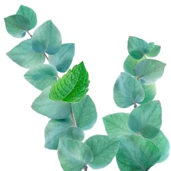 Kneipp Refreshing Eucalyptus Badolie