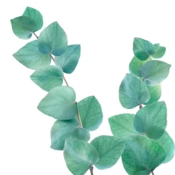 Kneipp Refreshing Eucalyptus Badkristallen