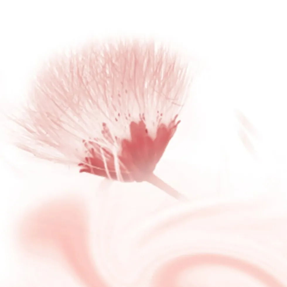 Kneipp Silky Secret Doucheschuim