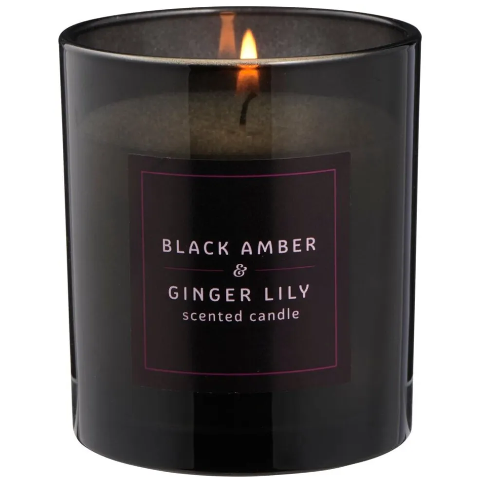 Kruidvat Black Amber & Ginger Lily Geurkaars