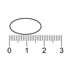 Kruidvat Calcium Magnesium Zink Tabletten
