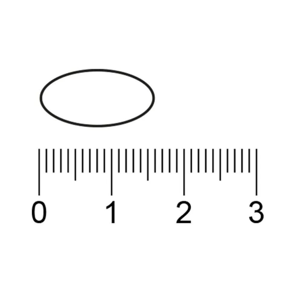 Kruidvat Cranberry Tabletten