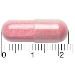 Leefvitaal Cranberry + Probiotica Capsules