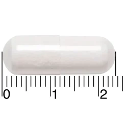 Leefvitaal Magnesium L-Tryptofaan/B6 Capsules