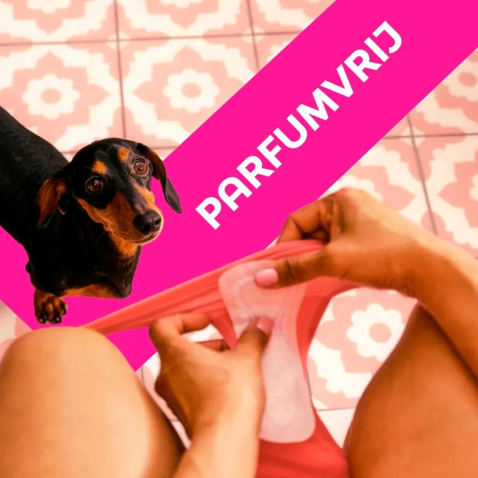 Libresse Dailies Fresh & Protect Extra Long Inlegkruisjes