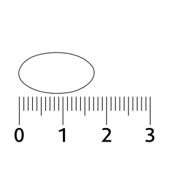 Lucovitaal CBD 20mg 100% Puur Capsules