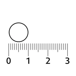 Lucovitaal Chlorella Spirulina Capsules