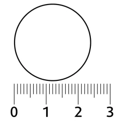 Lucovitaal D-Mannose Blaasontsteking Bruistabletten