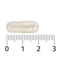 Lucovitaal Probiotica Vitaminen & Mineralen Complex Capsules