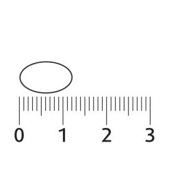 Lucovitaal Vegan Omega-3 Microalgen Capsules