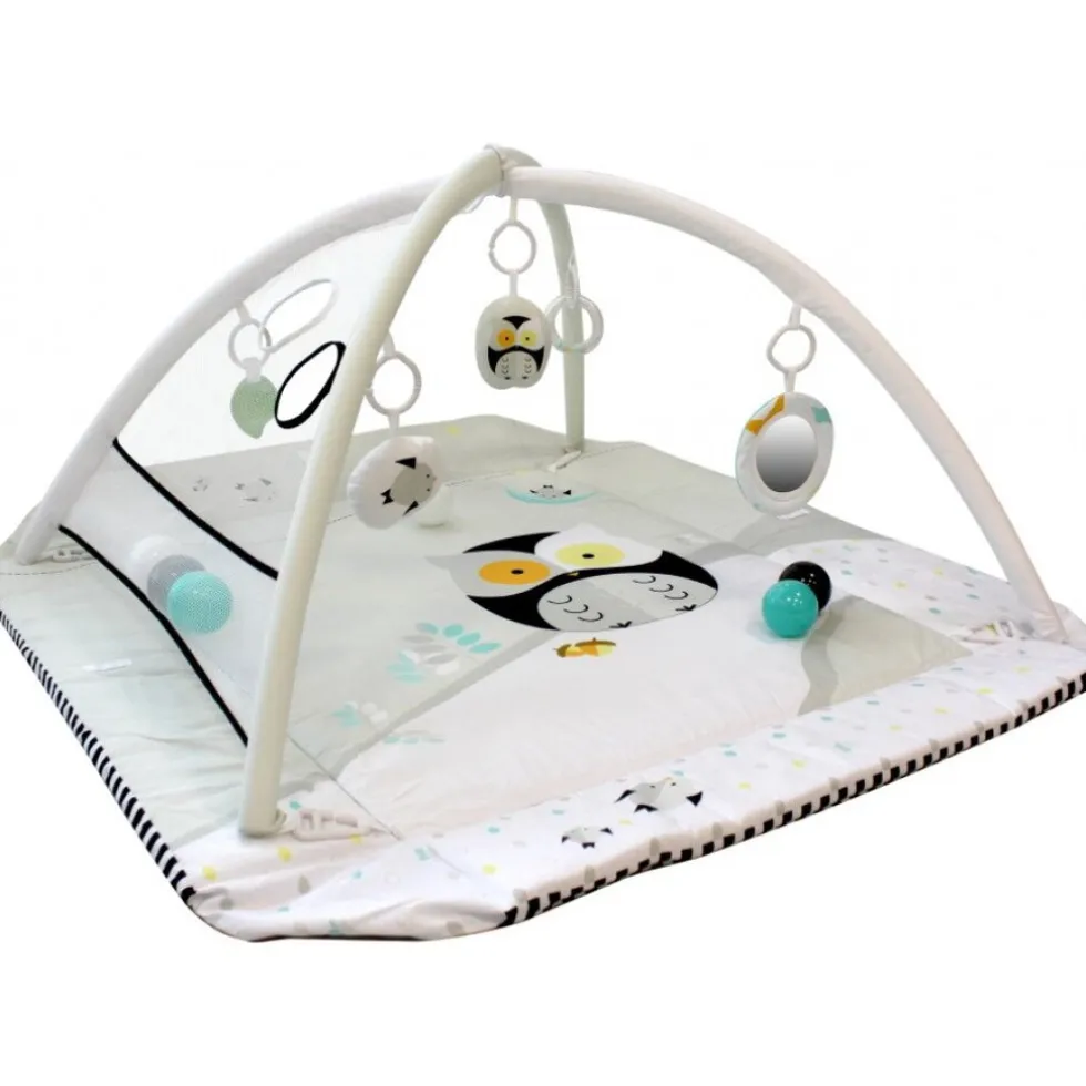 MamaLoes Uiltjes 5-in-1 Speelkleed/Ballenbak