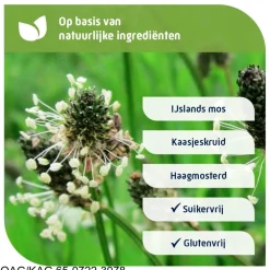 Natterman Direct Voor Alle Hoest Suikervrije Siroop