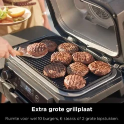 Ninja Woodfire Pro XL Elektrische Barbecue OG850EU