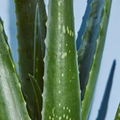 NIVEA Sun Kalmerende Aftersun Spray