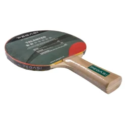 Pegasi tafeltennisbatje 2 ster Talented