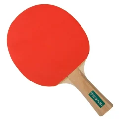 Pegasi tafeltennisbatje 2 ster Talented