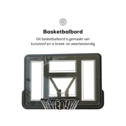 Pegasi basketbalbord Classic